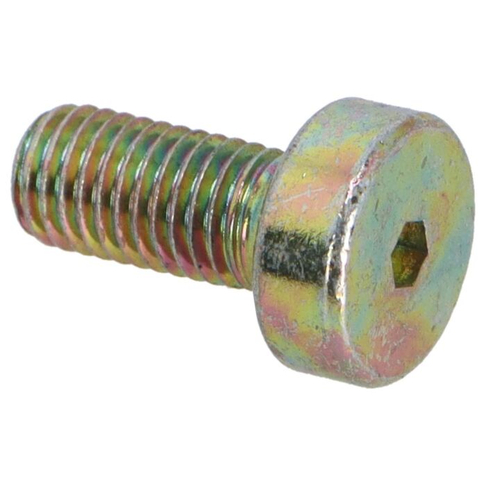 Volvo Klepdeksel schroef B27A 15mm (carb motor) M7 x 15 Volvo onderdeel nr 1218128