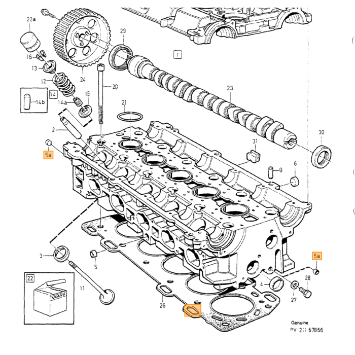 Nome del prodotto tradotto: Cinghia Volvo per equipaggiamento veicolo: per veicoli senza aria condizionata, numero di parte Volvo 1275725.