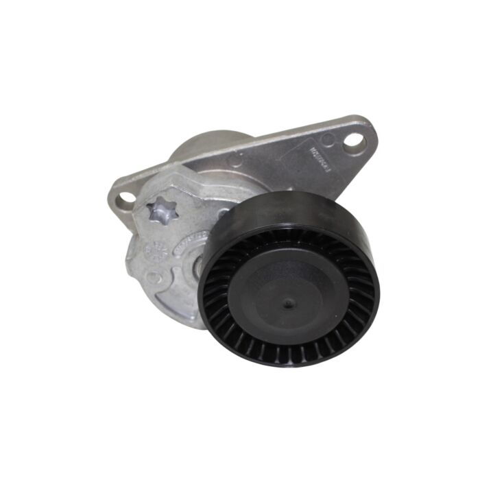 Spanrol distributieriem volvo V40/S40/C70/S70/V70/XC70/S80/XC90/S60 (31251250)