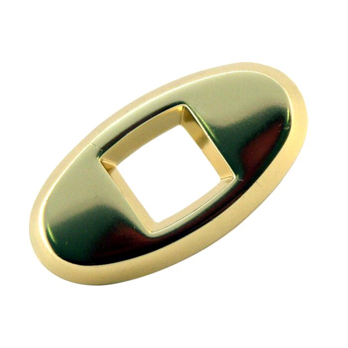 Letter motorkap O Amazon+PV544+P1800 goudkleurig embleem