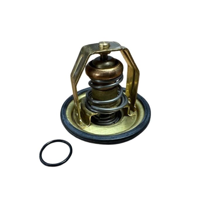 Thermostaat 60 gr Celcius PENTA B18+B20 