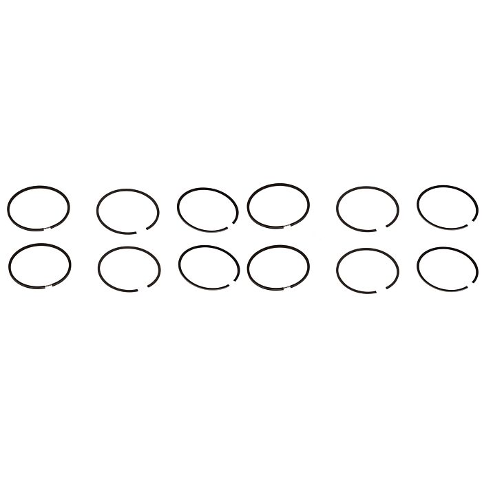 Zuigerveer set B21A+B21E+B21F 1.00 1.75-2.00-4.00 (voor 4 zuigers)
