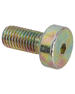 Klepdeksel schroef B27A 15mm (carb motor) M7 x 15