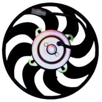 Fan
