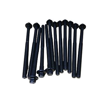 Cilinderkopbout Set 12 M12x197 D5204Tx D5244Tx 12 Delig D5 Volvo C30 - S40 - V50 - C70 - S60 - V60 - XC60 - S80 - V70 - XC70 - V40 2011-