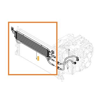 Raffreddatore olio trasmissione per Volvo C30 C70 (2006-) S40 V50 (2004-) powershift automatico mps6