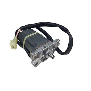 electric motor